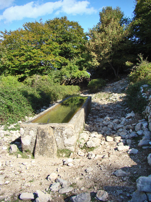 Fontanili del Lazio